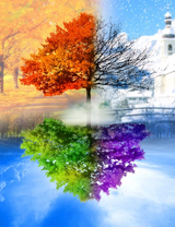 Без бренда «2KLB-6100» во Владивостоке