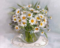 Без бренда «2KMA-0021» во Владивостоке