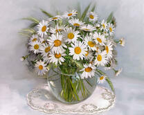 Без бренда «2KMA-0021» во Владивостоке