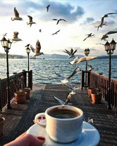 Без бренда «Кофе с видом на чаек» во Владивостоке