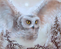 Без бренда «2KMB-3848» во Владивостоке