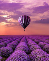 Без бренда «2KMB-4091» во Владивостоке