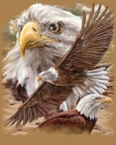 Без бренда «2KMB-4315» во Владивостоке