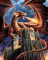 Без бренда «2KMB-4491» во Владивостоке