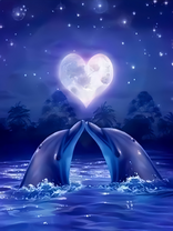 Без бренда «2KSB-0767» во Владивостоке