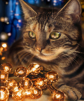 Без бренда «2KXSB-0678» во Владивостоке