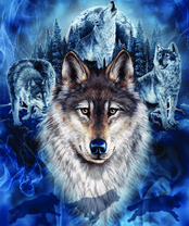 Без бренда «2KXSB-0687» во Владивостоке