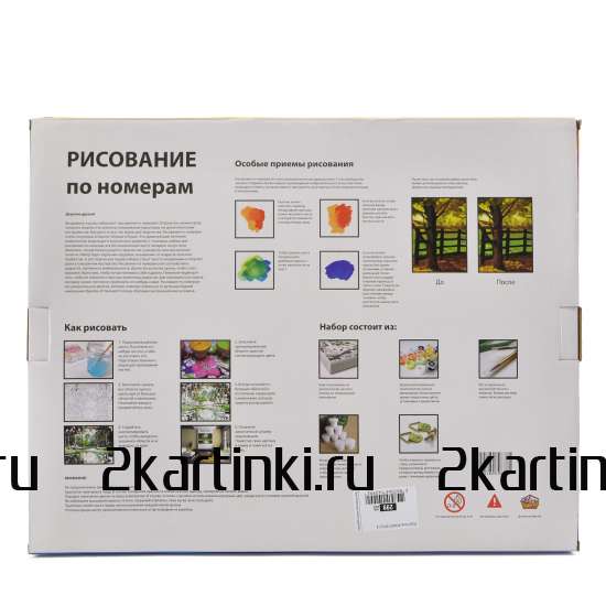 Картина 30x40 WB8023 Девушка с розовой розой на голове за 410 руб. в интернет-магазине во Владивостоке Картина 30x40 Девушка с розовой розой на голове
