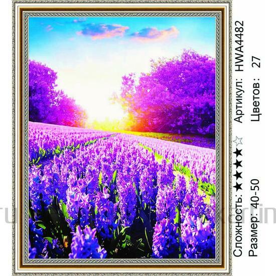 Алмазная мозаика 40x50 Поле фиолетовых гиацинтов