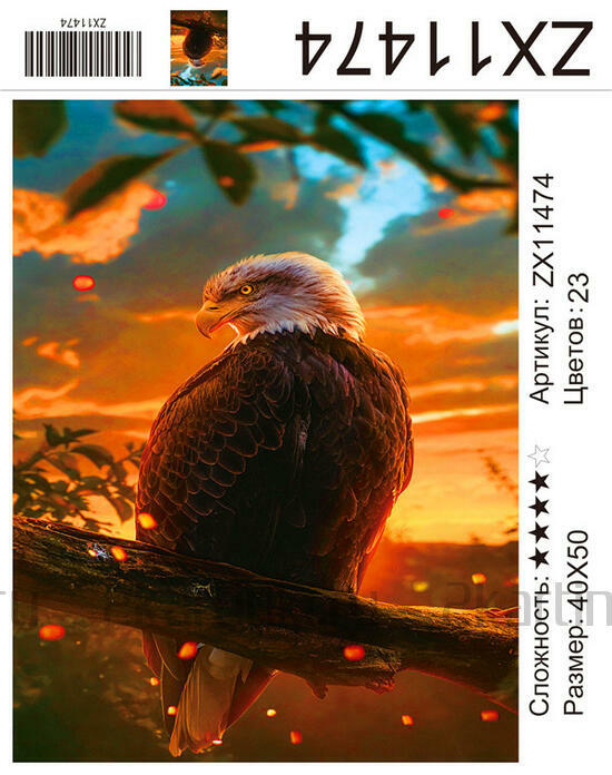 Алмазная мозаика 40x50 Орел на ветке в лучах солнца