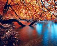 Без бренда «Дерево в осенней листве над озером» во Владивостоке в интернет-магазине во Владивостоке Без бренда «Дерево в осенней листве над озером» во Владивостоке