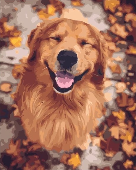 Картина по номерам 40x50 Довольный рыжий пес осенним днем
