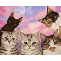 Без бренда «Такие разные котики» во Владивостоке в интернет-магазине  во Владивостоке Без бренда «Такие разные котики» во Владивостоке
