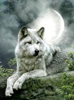 Без бренда «Коробка 25 шт. картин по номерам BOX25-GX21058» во Владивостоке