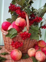 Без бренда «Коробка 25 шт. картин по номерам BOX25-GX5174» во Владивостоке