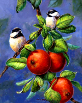 Без бренда «Две синички на яблоках» во Владивостоке