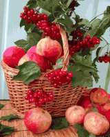 Без бренда «Плетёная корзина с калиной и яблоками» во Владивостоке