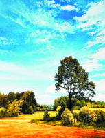 Без бренда «Осенний пейзаж с голубым небом» во Владивостоке в интернет-магазине  во Владивостоке Без бренда «Осенний пейзаж с голубым небом» во Владивостоке