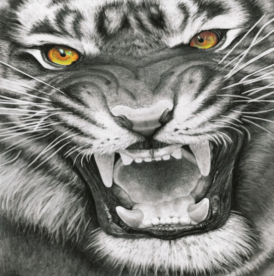 Алмазная мозаика 30x30 Черно-белый портрет грозного тигра