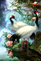 Без бренда «Коробка 25 шт. картин по номерам BOX25-GX29399» во Владивостоке в интернет-магазине  во Владивостоке Без бренда «Коробка 25 шт. картин по номерам BOX25-GX29399» во Владивостоке