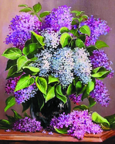 Свежий букет сирени