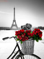 Медведи, розы и Эйфелева башня