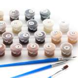 Картина по номерам 40x50 Test4 за 0 руб. в интернет-магазине во Владивостоке Картина по номерам 40x50 Test4