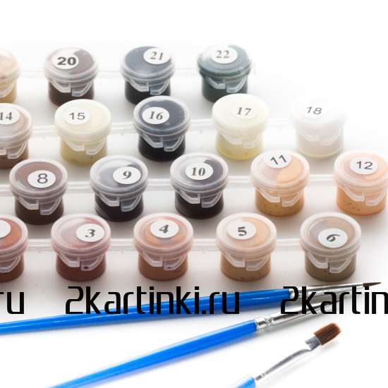 Картина по номерам 40x50 Test4 за 0 руб. в интернет-магазине во Владивостоке Картина по номерам 40x50 Test4