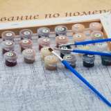 Картина по номерам 40x50 Q5182 Обнаженная девушка и череп за 1050 руб. в интернет-магазине во Владивостоке Картина по номерам 40x50 Обнаженная девушка и череп