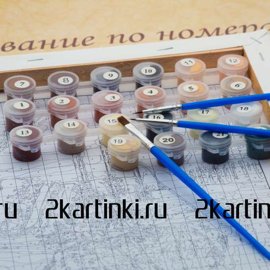 Картина по номерам 40x50 Q5182 Обнаженная девушка и череп за 1050 руб. в интернет-магазине во Владивостоке Картина по номерам 40x50 Обнаженная девушка и череп