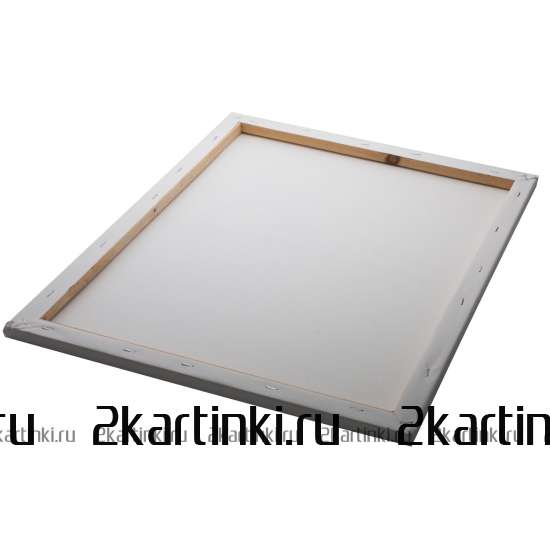 Картина по номерам 40x50 GX8999 Лев в стиле поп-арт за 995 руб. в интернет-магазине во Владивостоке Картина по номерам 40x50 Лев в стиле поп-арт