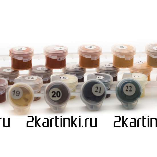 Картина по номерам 40x50 Test4 за 0 руб. в интернет-магазине во Владивостоке Картина по номерам 40x50 Test4