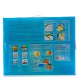 Картина по номерам 40x50 Q5182 Обнаженная девушка и череп за 1050 руб. в интернет-магазине во Владивостоке Картина по номерам 40x50 Обнаженная девушка и череп