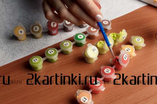 Картина по номерам 40x50 GX8999 Лев в стиле поп-арт за 995 руб. в интернет-магазине во Владивостоке Картина по номерам 40x50 Лев в стиле поп-арт