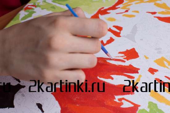 Картина по номерам 40x50 BOX25-GX3223 Коробка 25 шт. картин по номерам BOX25-GX3223 за 11750 руб.  в интернет-магазине  во Владивостоке Картина по номерам 40x50 Коробка 25 шт. картин по номерам BOX25-GX3223