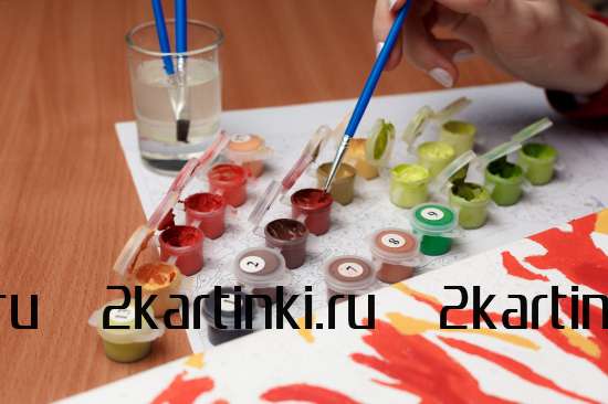 Картина по номерам 40x50 Test4 за 0 руб. в интернет-магазине во Владивостоке Картина по номерам 40x50 Test4