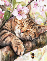 Без бренда «Волосатый котик спит на ветви яблони» во Владивостоке