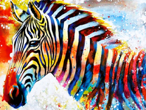 Зербра на разноцветном фоне